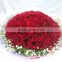 Wholesale Fresh Cut Rose Flowers Roses for Valentine's Day