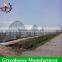 Cheapest traditional uv resistant greenhouse fim