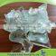 High Quality Sodium Silicate Solid Na2SiO3 Hot Sale