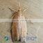 Pheromone Lure for Chilo suppressalis and trap set