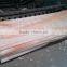 Linyi Rotary cut okoume veneer natural wood with 0.28mm 1220x2440