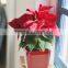 Flower pots for garden,pots garden planter,planter for garden