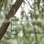 Bird Feeder