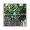 2015 wholesale decorative artificial leave supplier