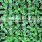 12PCS 7.5FT 100 Leaves Artificial Fake Foliage IVY Vine Garland Small Leaf Garland