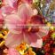 high quality silk ribbon flower for home decoration artificial cymbidium flowers