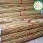 white color bamboo dyeing poles / cheap bamboo fencing