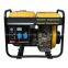 Hot Sale for Home/Outdoor Use SJ3500E 3KW Diesel generator with Electric Starter, Ce Euro V, EPA