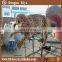 Life Size high Simulation Animals for Sale