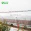 Low Cost Hot-Selling Agricultural Plastic  Greenhouse