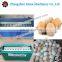 Brush Type Egg Washing Machine,Egg Washer