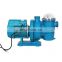 Swimming Pool Pump Motor