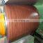 China SGCC/DX51D Prepainted GI Steel Coil / PPGI / PPGL Color Coated Galvanized Steel Sheet In Coil