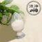 Gypsum Powder/ Gypsum Plaster Powder Free Sample