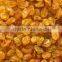 PREMIUM INDIAN RAISIN