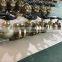 JIS F7301 GLOBE VALVES BRONZE 6K