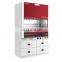 Laboratory medicine Fume cupboard  medical acid resistant fume hood