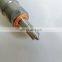 Genuine Diesel Injector 0445120462 for common rail injector assy