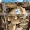 Frozen bonito from China seafood exporter with size 750-3000 g / pcs