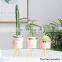 Modern Decor Simply Indoor Cylinder Succulent Cactus Pink Ceramic Flower Pots With Golden Metal Stand