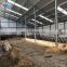 Low cost rural steel building grain prefabricated storage Steel Barns warehouse prefab farm house goat barn for sale