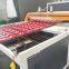 PVC/UPVC Glazed Corrugated Roof Tile Making  Machine Production Line