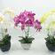 Best selling indoor decoration artificial flowers fake orchid