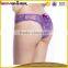 Hispter lace panty transparent lace sexy see through women underwear                        
                                                                                Supplier's Choice