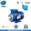 MS Aluminum Housing Three-Phase Induction Motor