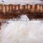 China supplier feathers for sale cheap white duck feather
