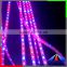 Red and Blue Color Grow Light Flexible Led SMD 5050