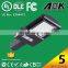 TUV GS CE RoHS IP65 IK10 With 5 years warranty 100W 120W Led Garden Pole Light