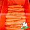 China Baby Carrot,New harvest fresh Carrot with Bright color