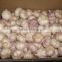 Professional Garlic Exporter for PK 5CM Garlic 20KG Mesh Bag Garlic