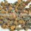 Chinese Dried Star Aniseed