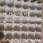 Paper Egg Trays In Cheap Wholesale (Trade Assurance)