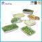 Disposable PET/PP Plastic Vegetable Box / Fruit Container Packaging