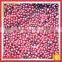 Iqf Frozen Organic Wild Lingonberry Berry Fruit