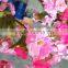 HOT Beautiful wedding tree artificial cherry blossom tree fake cherry blossom trees