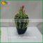 Artificial Plants Home Decoration Cactus Plants Artificial Cactus Plants