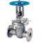 WCB Gate Valve