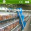 Nigeria market chicken layer poultry farm cage