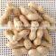 Chinese peanut kernels in shell with high quality for sale