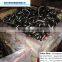 DIN EN 818-2 high tensile g80 iron short link lifting metal chain