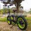 2016 Best Electric Bicycles Folding Electric Bike with Fat Tires