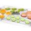 electric fruit dehydrator with GS & UL approves