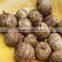 Mytext New crop fresh taro extract wholesale