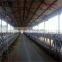 43"IN Cow /cattle house hanging fan for ventilation