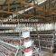 Chicken Cage 120 Birds 3 Tier or 256 Birds Chicken Cage Hot Sale in Zimbia