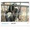 Farm Equipment Adjustable Headlock for Dairy Cows